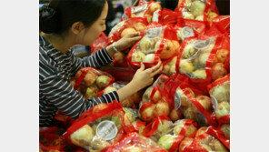 “햇양파 나왔어요”