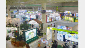 [여행, 나를 찾아서]한국관광협회중앙회, 내나라 새로운 발견, 국내여행 수요 촉진에 기여