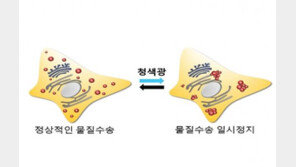 국내 연구팀, 빛으로 세포 성장 조절하는 기술 개발 