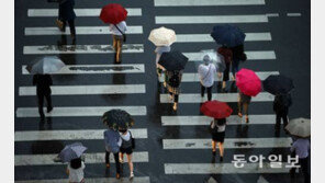 [날씨]오늘 ‘곡우’ 전국 흐리다 밤부터 비…예상 강수량 “서울·경기 5~10mm”