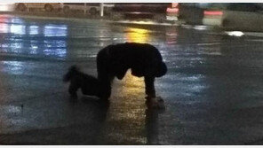 “스스로에게 벌 주는 것”… 도로 기어간 남성, 무슨 일?