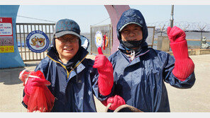 “어촌계 가입 문 활짝… 귀어 팍팍 밀어드립니다”