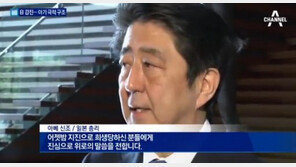 日 지진 정부 대응 적절했나? 아베 내각 지지율은…