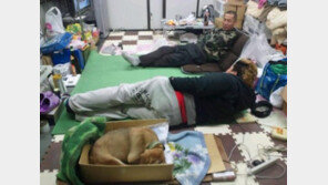  '주인님! 나를 지켜 주세요~'