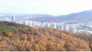 ‘마이너스 프리미엄’ 분양권, 취득세 부담 ‘뚝↓’…언제부터 적용되나?