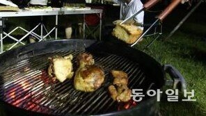  임종한 교수 “임신 중 구운고기 먹으면 저체중아 출산 위험↑” 