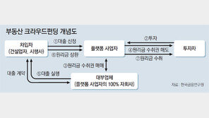 부동산 크라우드펀딩, 뭉칫돈 된 푼돈