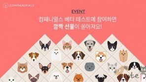반려동물 모바일앱 컴패니멀스 베타테스트