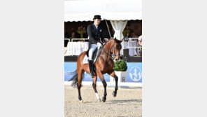 [리우를 향해 뛴다!] 말과 선수 ‘교감의 질주’…올림픽 5위권 꿈꾼다