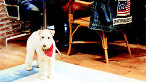 시타라 요 “좋아하는 의자 하나가 집을 확 바꿉니다”