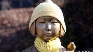 “위안부 할머니들 지원 위한 재단 설립 준비위 이달말 출범”