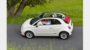 [CAR]동글동글 귀여운 vs 작지만 단단한… “주행성능도 외관과 딱!”