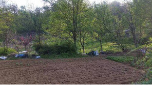 [화제의 분양현장]그린벨트 해제 1순위… 하남토지 선착순 공개 매각 