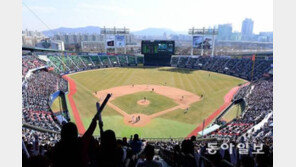 야구장 맥주보이 다시 만난다…주류면허 부여, 이동식 판매 허용