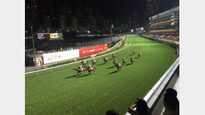 홍콩 시스템 배우고, 한국문화는 알리고