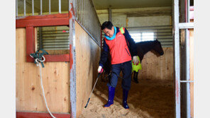 [홍당무의 경마오디세이] 이동시 인플루엔자·선역 조심…계절 바뀔땐 일본뇌염 주의보
