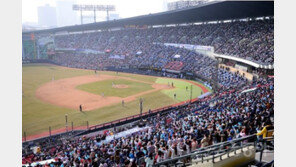 국세청, 야구장 이동식 맥주 판매 재허용