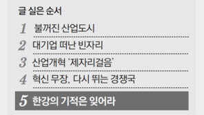 “외과수술식 구조조정 필요… 정부가 직접 메스 들어라” 