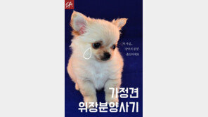 [카드뉴스] “가정견 위장분양 사기 조심하세요”