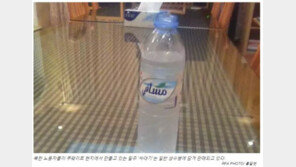 외국 진출 北노동자들, 금주 국가서 밀주 제조·판매하다 적발 