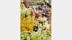 “생화가 아닙니다”