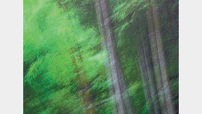 “이게 뭐지…”