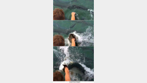 사람 팔뚝까지 입에 넣은 물고기