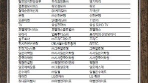 [2016 대한민국 대표브랜드]악재 몰려오지만…대표브랜드가 있어 든든합니다 