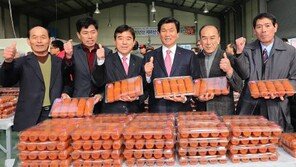 [2016 대한민국 대표브랜드]지리산이 품은 최고의 맛 ‘산청곶감’ 