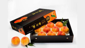 [2016 대한민국 대표브랜드]차별화된 품질관리로 소비자 신뢰 얻은 ‘햇사레’ 