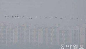 오늘도 미세먼지 매우나쁨… 내일 오후에는 ‘보통’