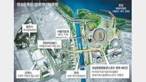 잠실운동장 일대, 국제 비즈니스 공간으로