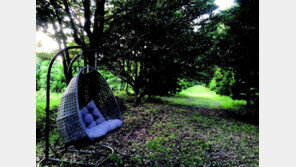 [보물섬 제주]솔트리 수목원, 동화나라에 온 듯한 ‘감성 수목원’