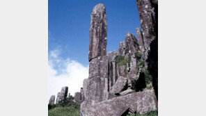 전남 고흥서 주상절리 발견… 수직형·방사형 구조 동시에 지녔다