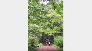 정형돈 근황 공개 “형돈이 잘 있습니다”… 숲길서 딸과 오붓히 산책