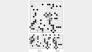 [바둑]제49기 아마국수전… 설상가상(雪上加霜)