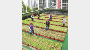 [2016 사회공헌기업 대상]SH공사,  ‘희망 돌보미’로 취약계층 일자리 창출