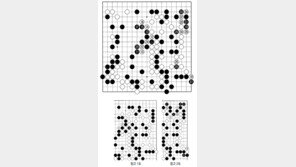 [바둑]제49기 아마국수전… 유종지미(有終之美)
