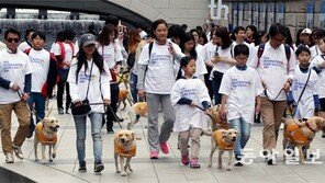안내견의 날… “함께 걸어요”