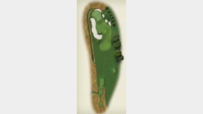 ‘300야드 파3’ US오픈 마의 8번홀