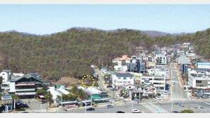 [화제의 분양현장]뉴스테이 수혜 예상지 과천 땅에 강남 투자자들 모인다는데… 