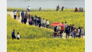 5월 6일 임시공휴일 확정 ‘4일 황금연휴’…고속도로 통행료 면제-고궁·수목원 등 무료개방  