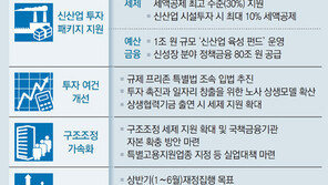 세법상 최고수준 지원… 新산업투자 ‘마중물’로 