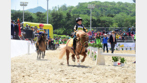유소년 승마대회…말퍼레이드…‘어린이날’은 경마장에서