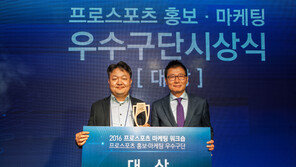 kt 위즈, 홍보·마케팅 대상…국내 프로구단 중 최고