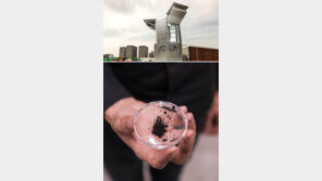 땅에선 정전기로, 하늘에선 ‘드론 부대’로 미세먼지 잡는다?