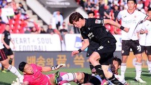 황의조 4경기만에 골…성남도 4경기만에 승전고