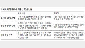 소비자 법적 구제 ‘3大 허점’… 제2의 옥시사태 안심 못한다 