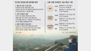 “초미세먼지 측정망 수도권 집중… 지방에 늘려 관리 강화” 