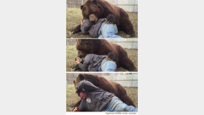 630kg 곰 ‘사람 머리를 입에 넣어’ 깜짝